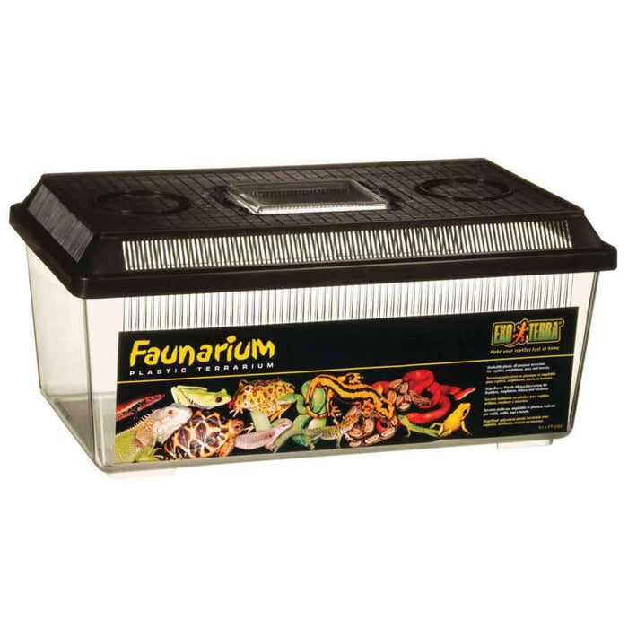 Exo Terra Faunarium Flat Medium:Jungle Bob's Reptile World