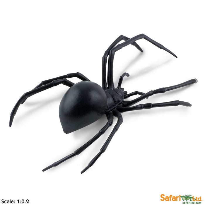 Safari Black Widow Spider