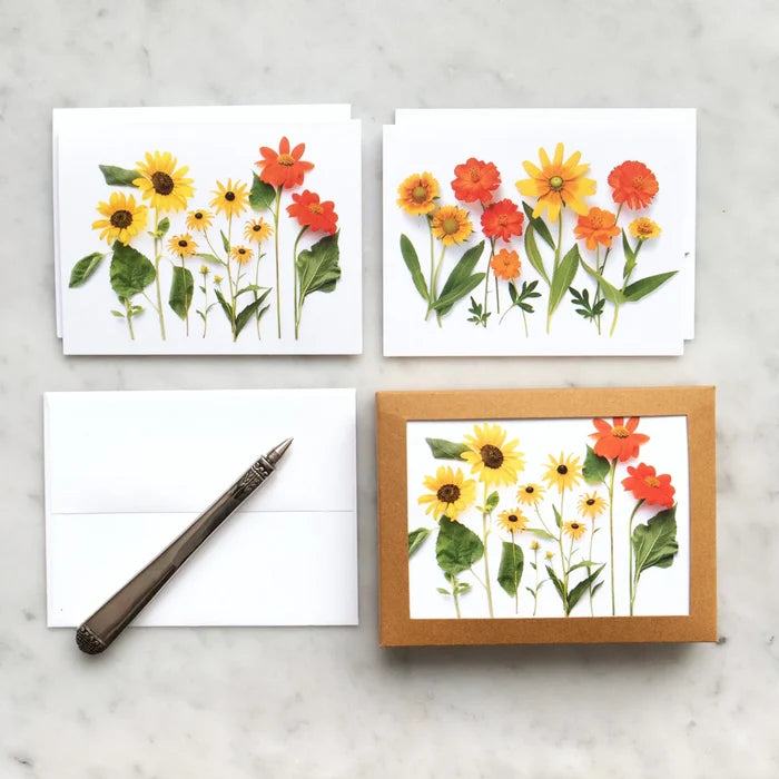 Summer Sunflowers Boxed Card Set