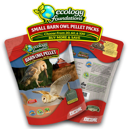 100 Small Pellet Pack + Tools + Guide