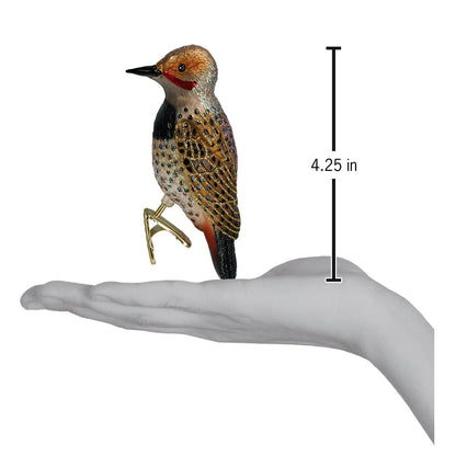 Northern Flicker Ornament
