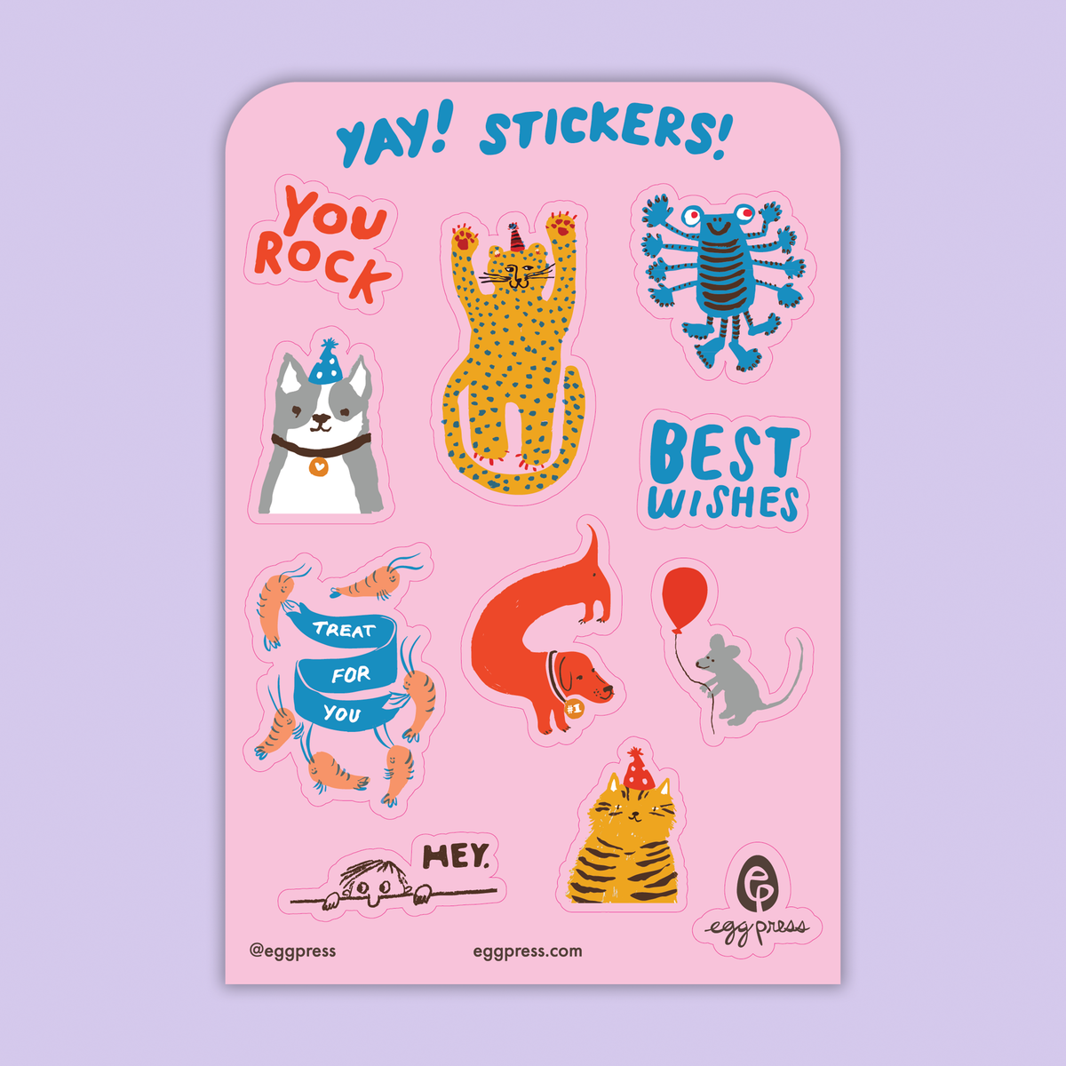 Card & Sticker Sheet Set - Party Cheetah Bday