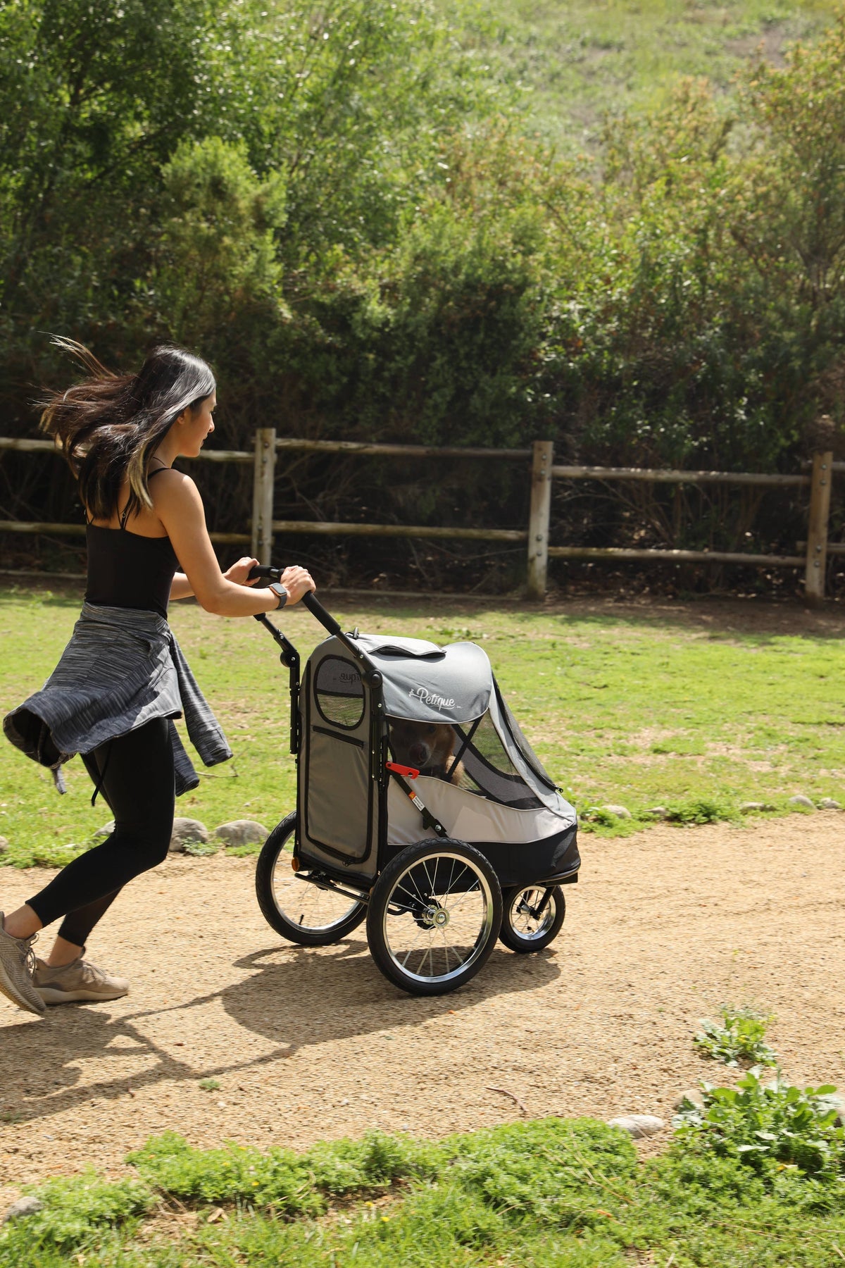 Petique, Inc - Trailblazer Pet Jogger