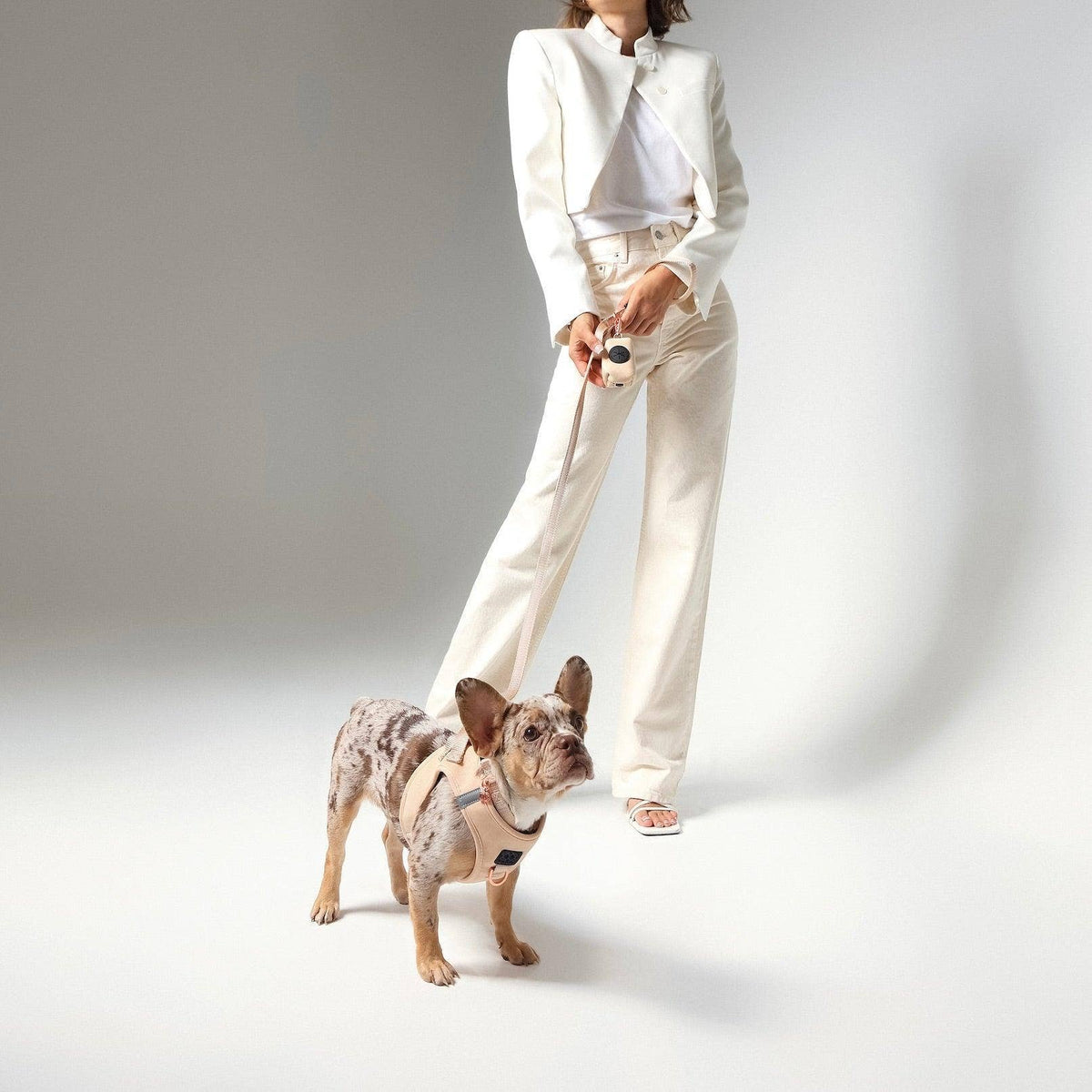 Dogistry™ - SoHo Dog Harness - Dune