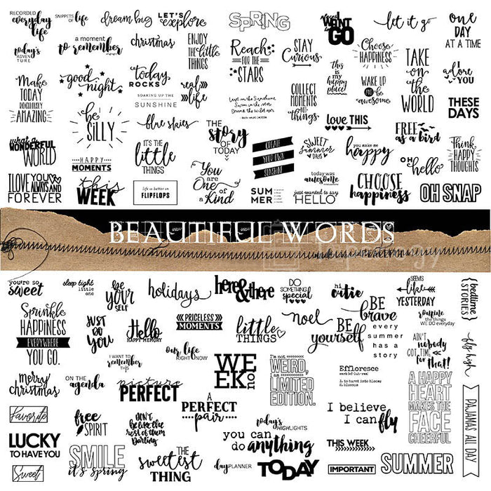 90 Pcs  Phrase Vellum Stickers