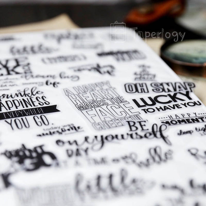 90 Pcs  Phrase Vellum Stickers