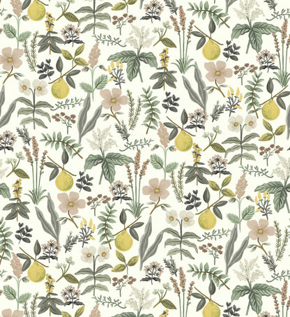 Herb Garden Peel & Stick Wallpaper - Cream