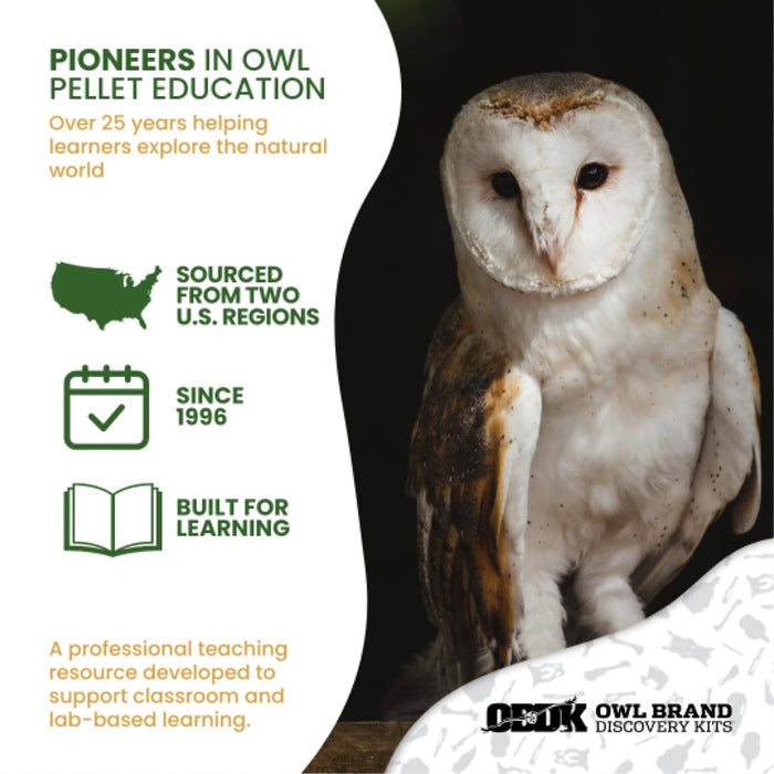 Biology & Anatomy Foundations Solo Essentials Large Sterilized Barn Owl Pellet Activity