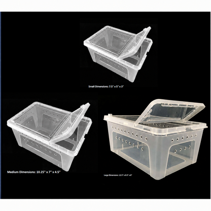 Clear Plastic Terrarium Boxes by Jungle Bob