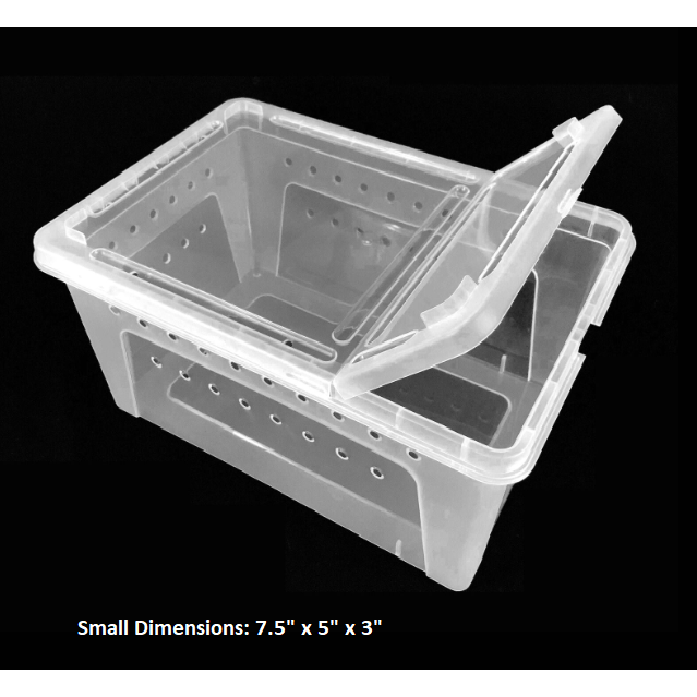 Clear Plastic Terrarium Boxes by Jungle Bob