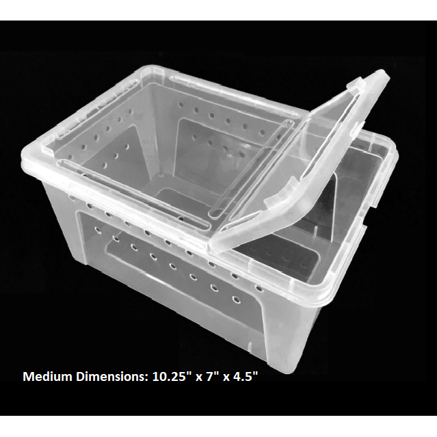 Clear Plastic Terrarium Boxes by Jungle Bob