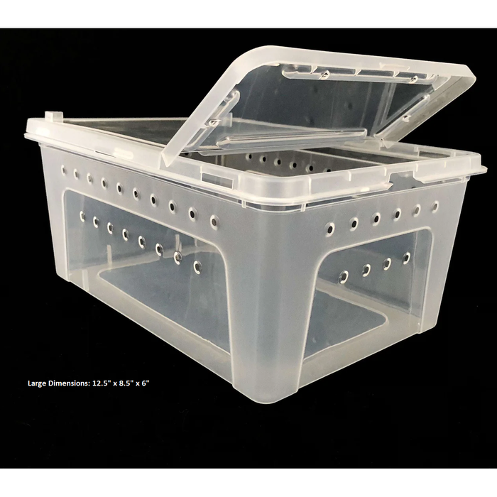 Clear Plastic Terrarium Boxes by Jungle Bob