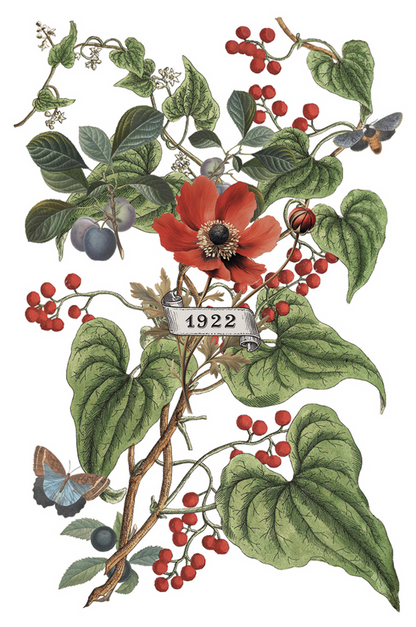Clemintine IOD Transfer 8x12 Pad™