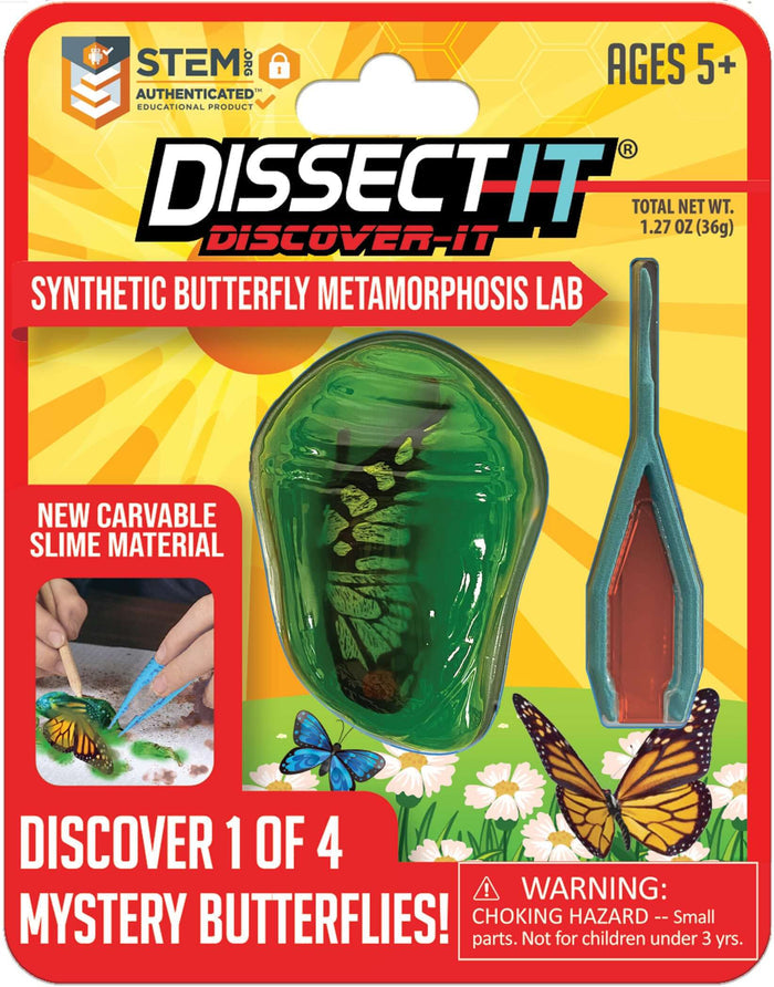 Discover It - Butterfly Lab - Synthetic butterfly lab kit for wildlife education and biology learning with dissection tools.
