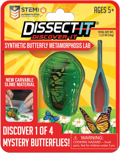 Discover It - Butterfly Lab - Synthetic butterfly lab kit for wildlife education and biology learning with dissection tools.