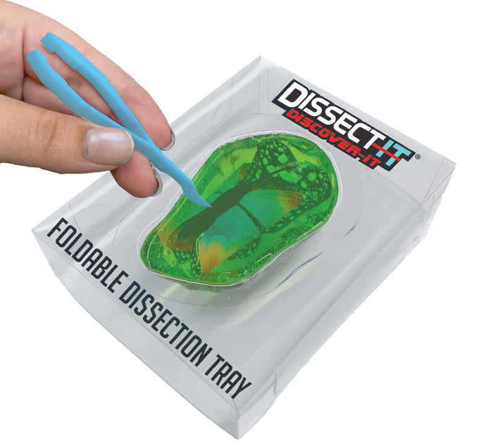 Discover It - Butterfly Lab foldable dissection tray with tweezers for biology learning and wildlife education.