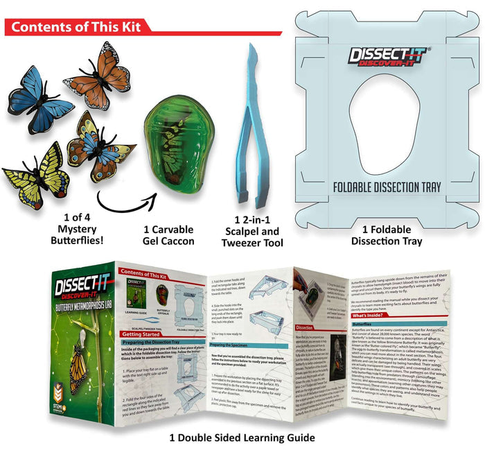 Discover It - Butterfly Lab kit contents including butterflies, gel ca ccon, scalpel, and learning guide for biology education.