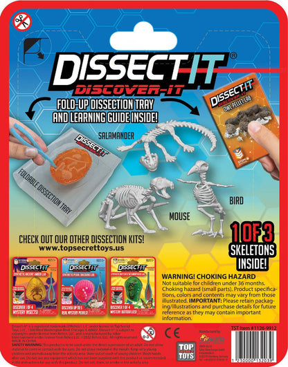Discover It - Owl Pellet Lab