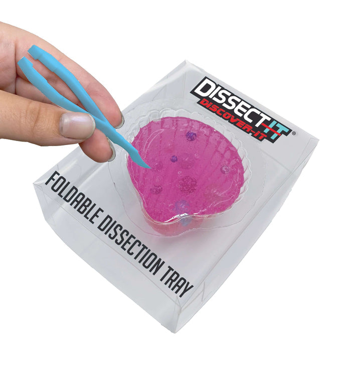 Discover It - Pearl Lab dissection tray with tweezers for Owl Brand Discovery Kits and wildlife education.