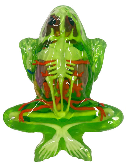 Dissect It Frog Super Lab - 2 Refills!