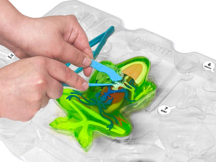 Dissect It Frog Super Lab - 2 Refills!