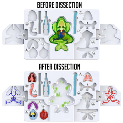 Dissect It Frog Super Lab - 2 Refills!