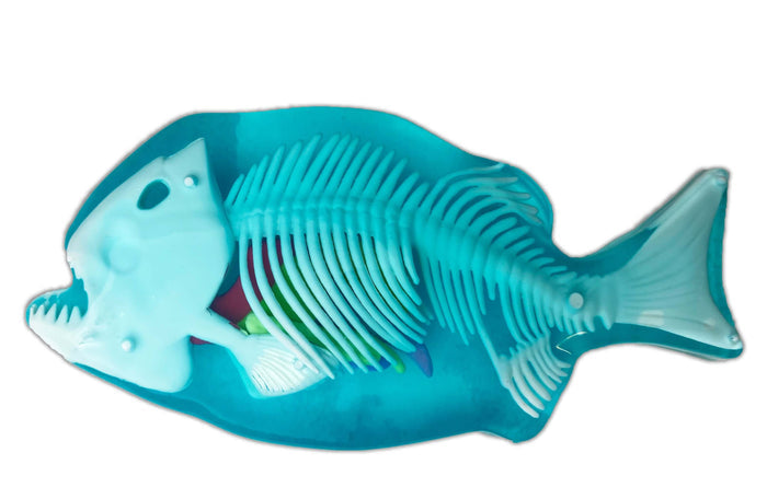 Dissect It Piranha Lab