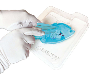 Dissect It Piranha Lab