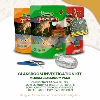 Ecology Foundations Classroom Essentials for Teaching 10 Students