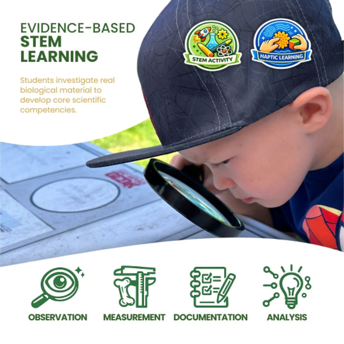 Ecology Foundations Classroom Essentials for Teaching 10 Students
