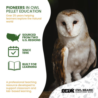 Ecology Foundations Classroom Essentials for Teaching 10 Students