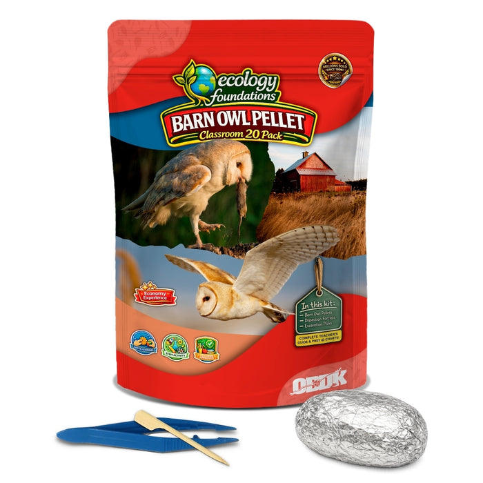 Ecology Foundations Classroom Essentials for Teaching 20 Students