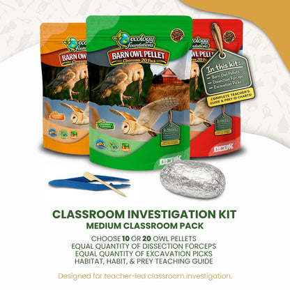 Ecology Foundations Classroom Essentials for Teaching 20 Students