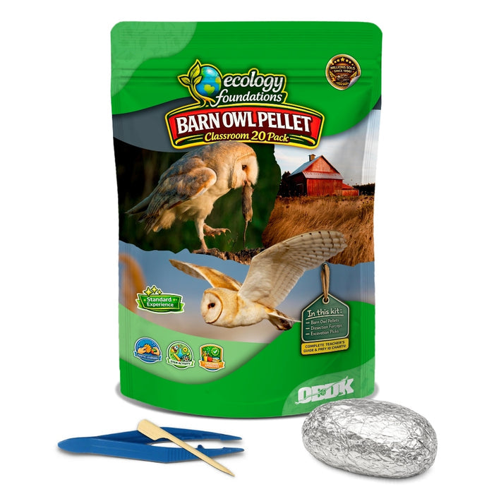Ecology Foundations Classroom Essentials for Teaching 20 Students