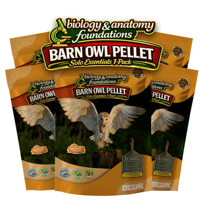 FIVE Biology & Anatomy Foundations Solo Essentials Large Sterilized Barn Owl Pellet Activities