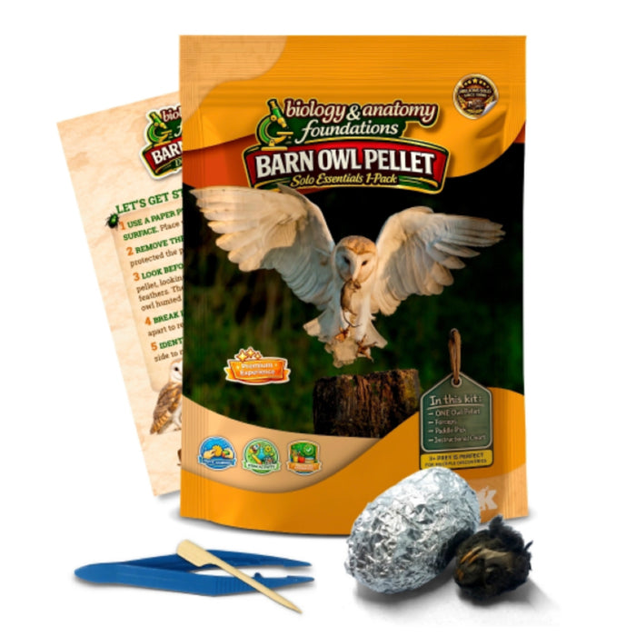 FIVE Biology & Anatomy Foundations Solo Essentials Large Sterilized Barn Owl Pellet Activities