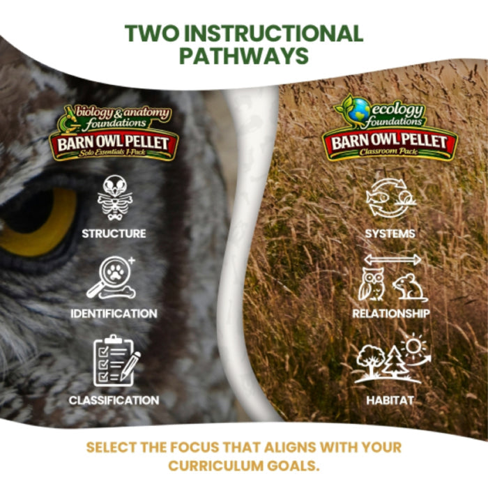 FIVE Biology & Anatomy Foundations Solo Essentials Medium Sterilized Barn Owl Pellet Activities