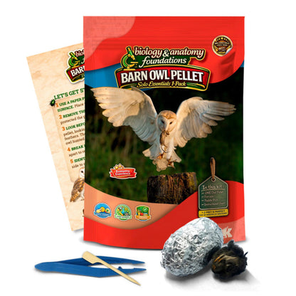 FIVE Biology & Anatomy Foundations Solo Essentials Small Barn Owl Pellet Activities