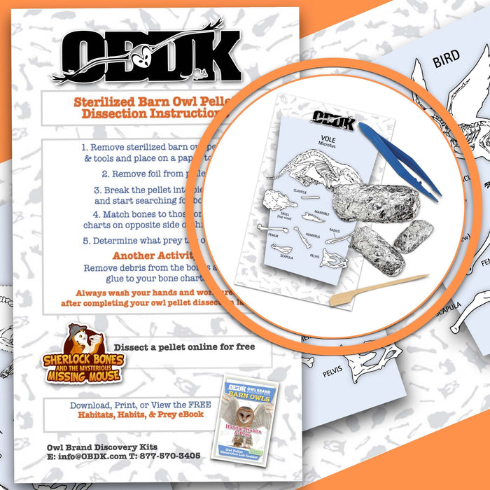 5 Small 1-Pack Exploration Activity instructions for dissection of sterilized barn owl pellets, Owl Brand Discovery Kits.