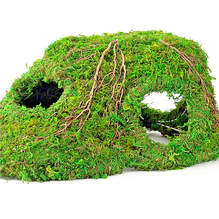 Galapagos Mossy Corner Reptile Terrarium Hide:Jungle Bob's Reptile World