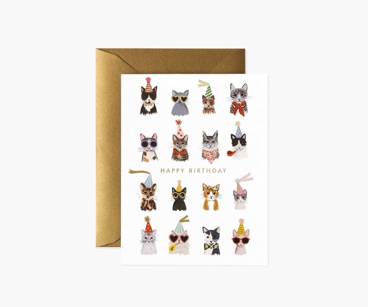 Cool Cats Birthday Cards - Boxed Set