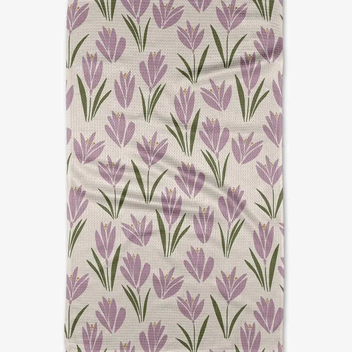 Tulip Bulbs