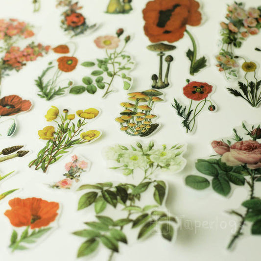 Halo Floral Vellum Stickers Pack