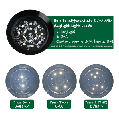 Herpcult Mini Led UVA/UVB Light Fixture with Light Mode/Timer Controller:Jungle Bob's Reptile World