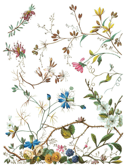 Iron Orchid Designs - Lost Garden Transer - 12x16