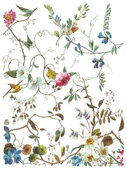 Iron Orchid Designs - Lost Garden Transer - 12x16