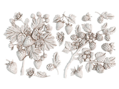 Iron Orchid Designs - Wild Berries - 6x10 IOD Mould™