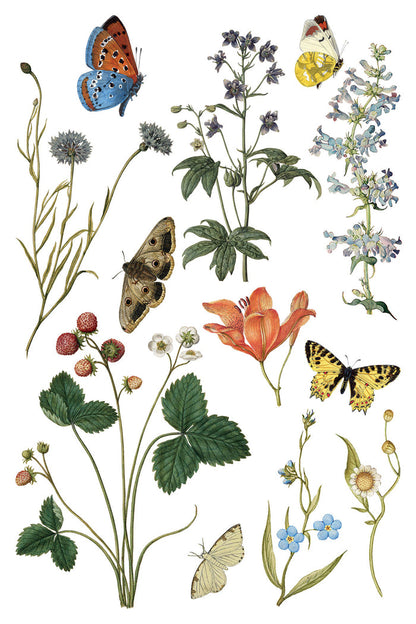 Iron Orchid Designs - Wilde Bloeman Transfer 8x12