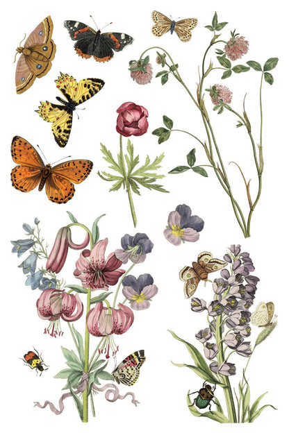 Iron Orchid Designs - Wilde Bloeman Transfer 8x12