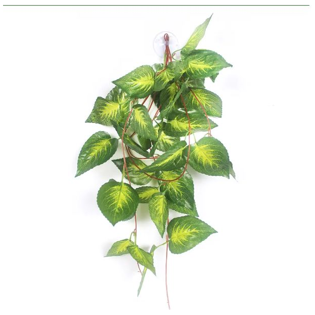 Jungle Bob Hanging Terrarium Plant Yellow Caladium